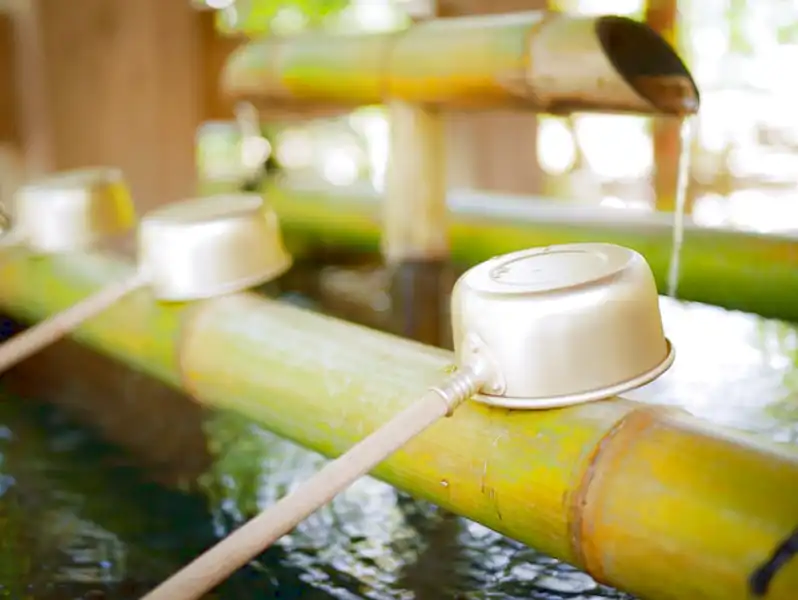 cannes de bambou
