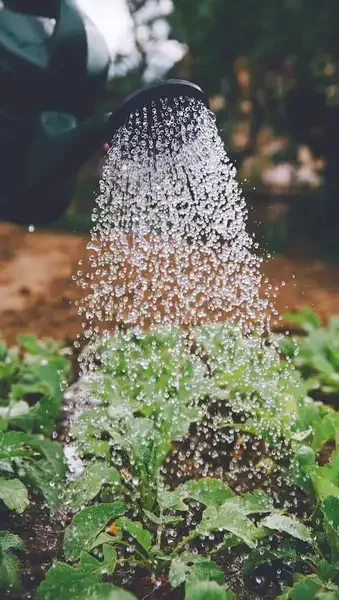 Sistema di irrigazione