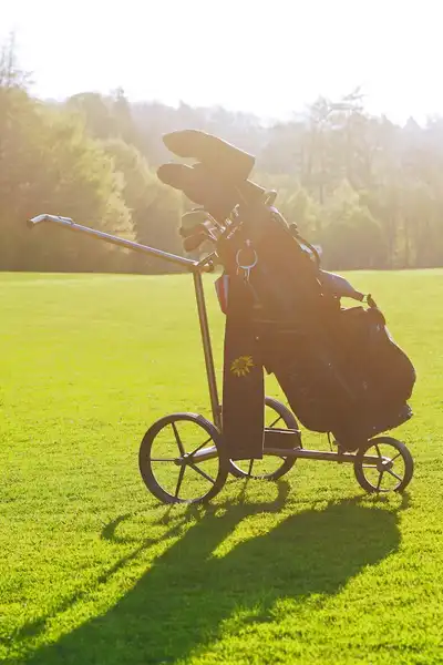Elektryczny wózek golfowy