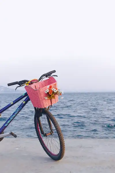 cesta de la bicicleta