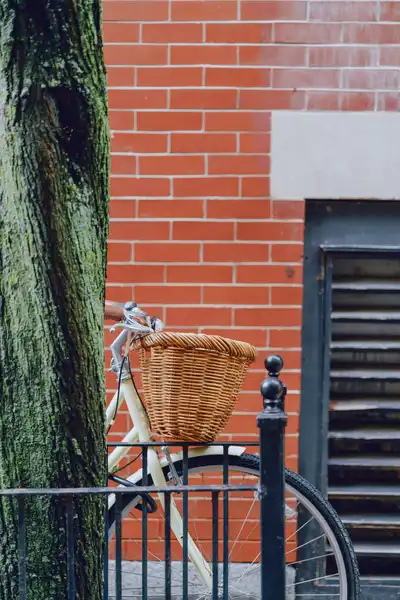 cesta de la bicicleta