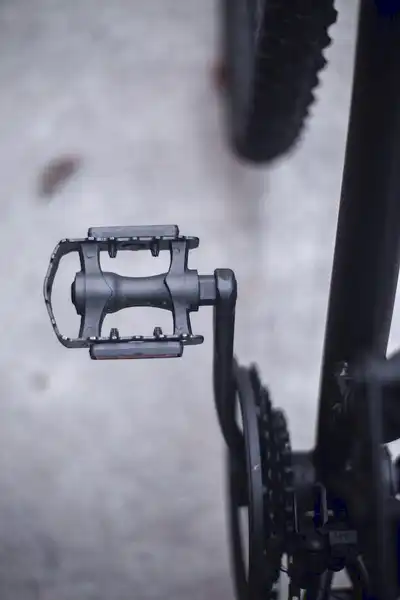 bisiklet pedalları