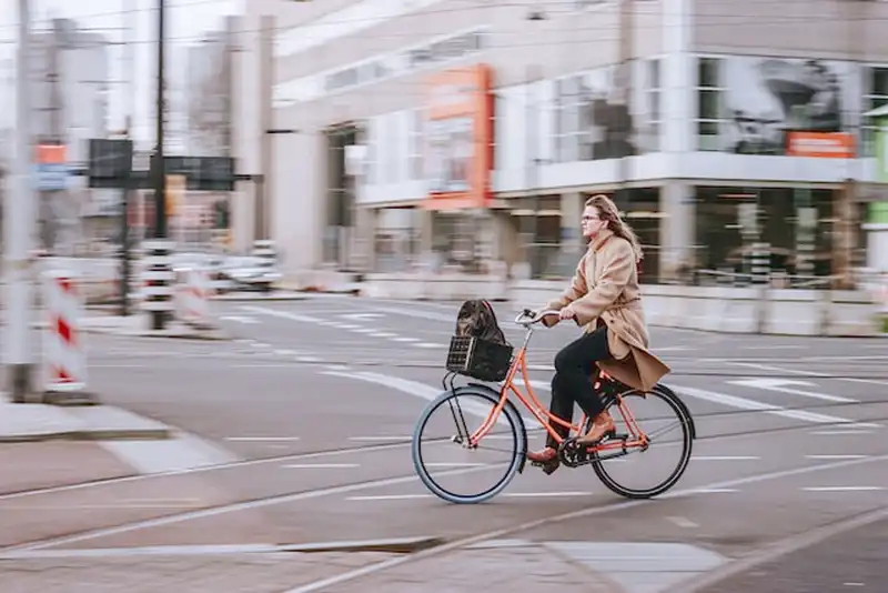 Ufficio borse per biciclette