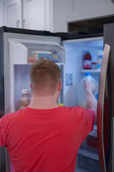 Francia ajtó hűtőszekrény