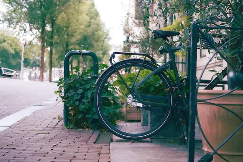 Biçikletë holandeze