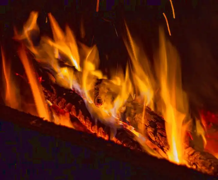 briquettes de bois