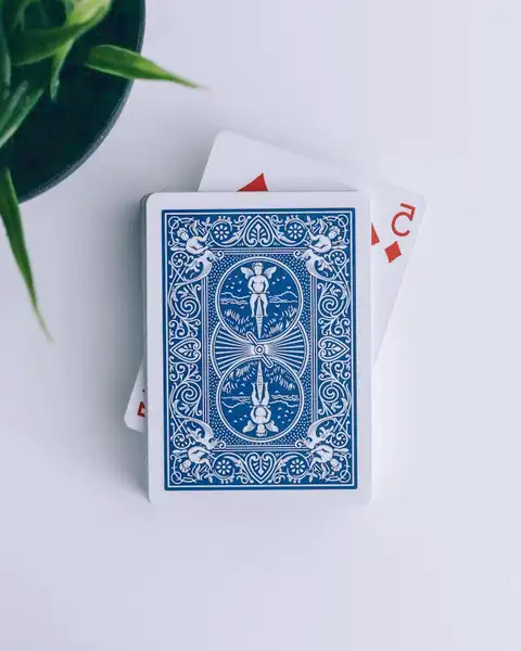 Barajador de cartas