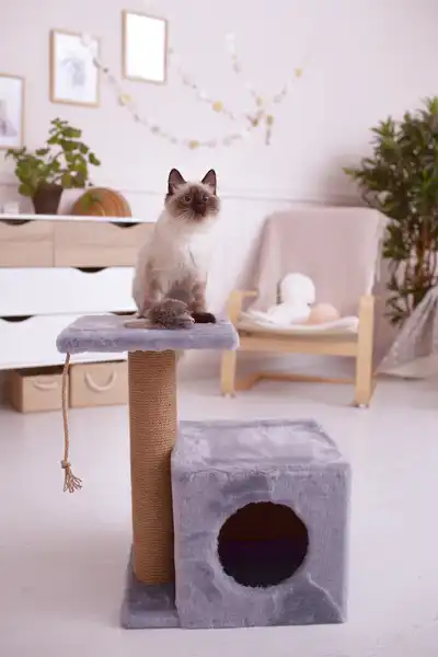 Casa para gatos al aire libre