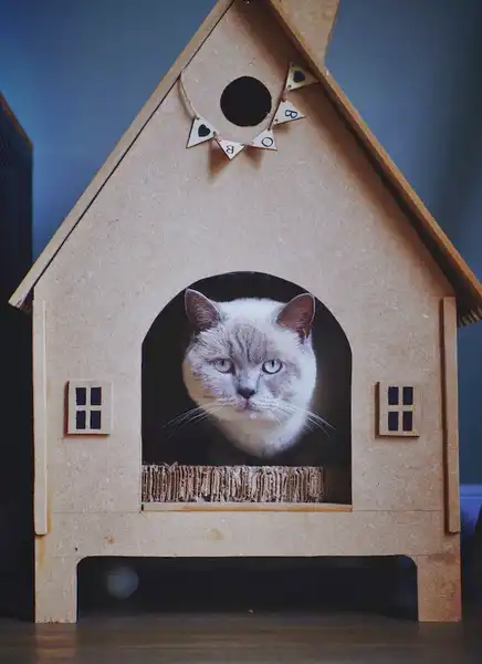 Casa de gato ao ar livre