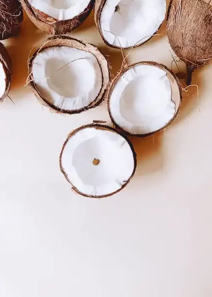 azúcar flor de coco