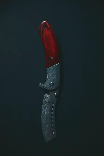 Laguiole kniv