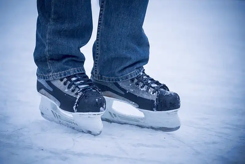 Zapatos de cross country patinaje