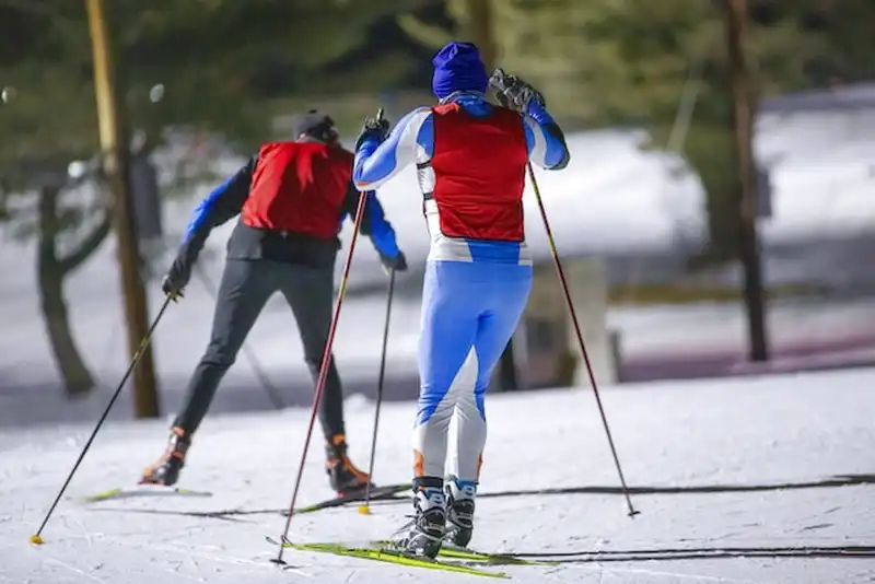 Los esquís de fondo vienen en diferentes longitudes y diseños, según el estilo de esquí de fondo y las preferencias individuales del esquiador.