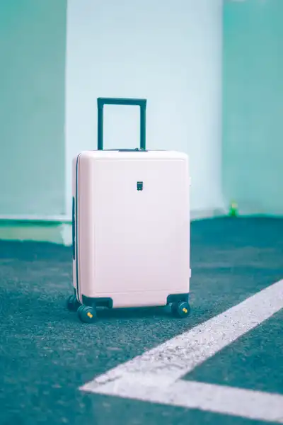 Makita suitcase