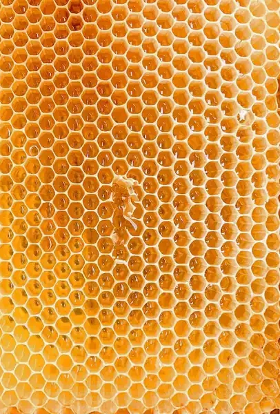 Manuka honey