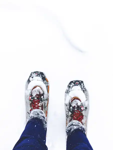 Botas de esqui