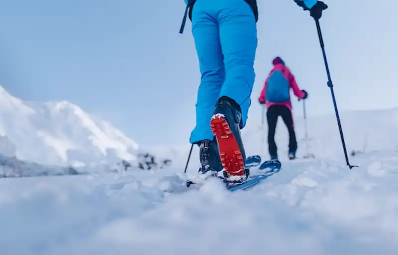 bolsa para botas de esqui