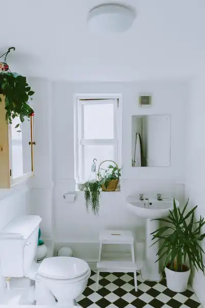 limpiador de baños