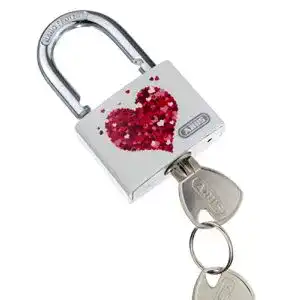 Abus vorhaengeschloss abus vorhaengeschloss t65al 40 mylove