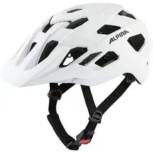 Alpina-Fahrradhelm