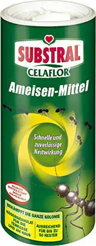 Substral Celaflor Ameisenmittel für die effektive Ameisenbekämpfung