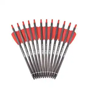 Armbrustpfeile ty archery 12 stueck 75 carbon armbrust bolzen