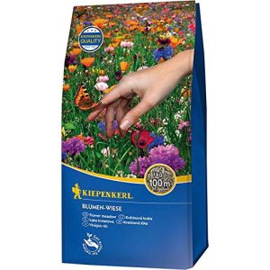 Blumenwiese-Samen Kiepenkerl – Rasen Rasensamen – Blumenwiese 1 kg