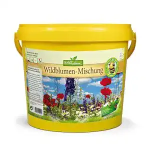 Blumenwiese samen n l chrestensen n l chrestensen wildblumen