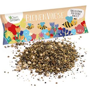 Blumenwiese-Samen OwnGrown Bienenwiese Blumenmischung: 100g Premium