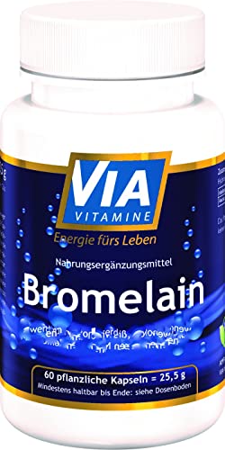 Bromelain Via Vitamine 1200 GDU/g (~2400 F.I.P) hochdosiert