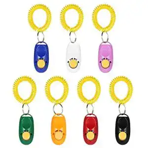 Clicker anself training fuer hunde katzen haustiere