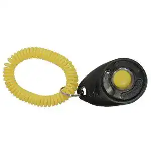 Clicker starmark schwarz und gelb training mit armband