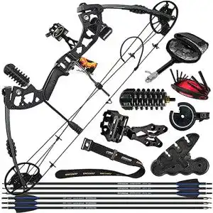 Compoundbogen zshjgjr compound bogen set bogenset 2