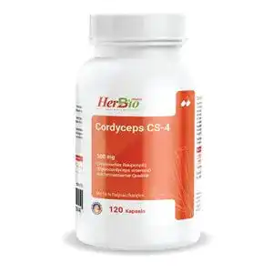 Cordyceps herbbio abdin herbbio natural medical manufacturing