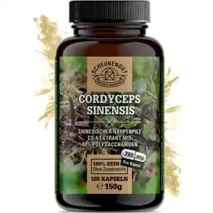 Cordyceps scheunengut kapseln 1400mg je tagesdosis