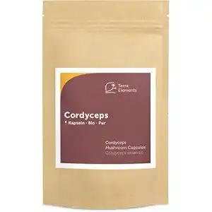 Cordyceps terra elements bio kapseln 400 mg 150 st sinensis