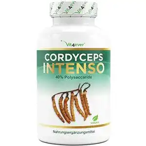 Cordyceps vit4ever pilz 180 kapseln mit 650 mg cs 4 extrakt