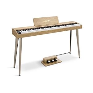 E-Piano Donner DDP-60 88 Tasten Digital Piano für Anfänger