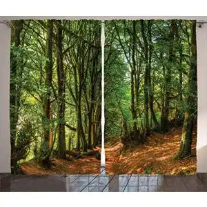 Fotogardinen abakuhaus wald rustikaler gardine wald pathway szene
