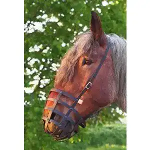 Fressbremse pferd heavy horse parts fressbremse strong kaltblut