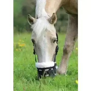 Fressbremse pferd shires deluxe weidenmaulkorb fuer pferde