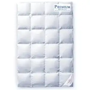 Gaensedaunendecke aura down bedding aura luxus daunendecke