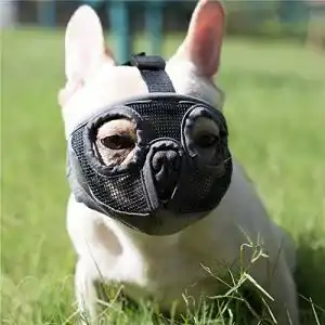 Giftkoeder maulkorb jyhy maulkorb fuer hunde