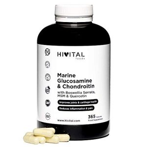 Glucosamin Hivital Foods mit Chondroitin, 365 Kapseln mit MSM