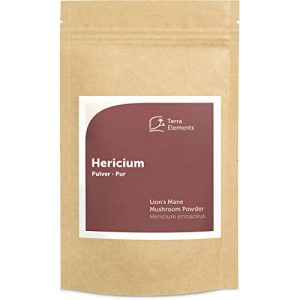 Hericium Terra Elements Bio Pulver 100 g, Igel-Stachelbart, Lion´s