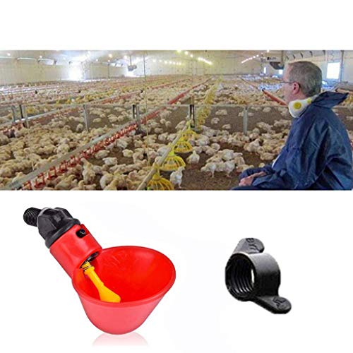 Hühnertränke DingLong Wasserspender Feeder für Huhn