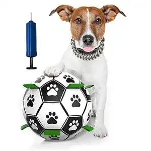 Hunde intelligenzspielzeug cclkhy hundespielzeug ball