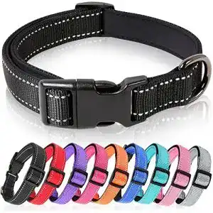 Hundehalsband heele weich gepolstertes neopren nylon hunde halsband
