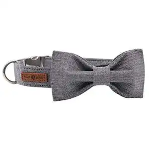 Hundehalsband lionet paws mit fliege langlebiges bequemes baumwolle