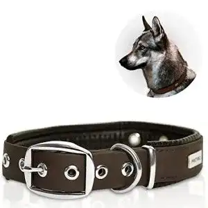 Hundehalsband pettec halsband fuer grosse kleine hunde